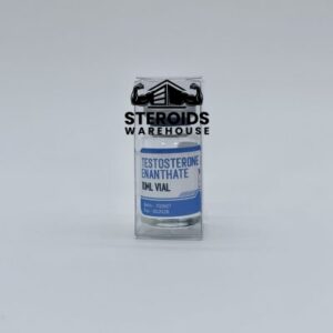 Beginners Bulking Cycle